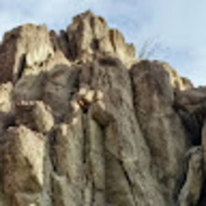 Meet your Posher, Tom